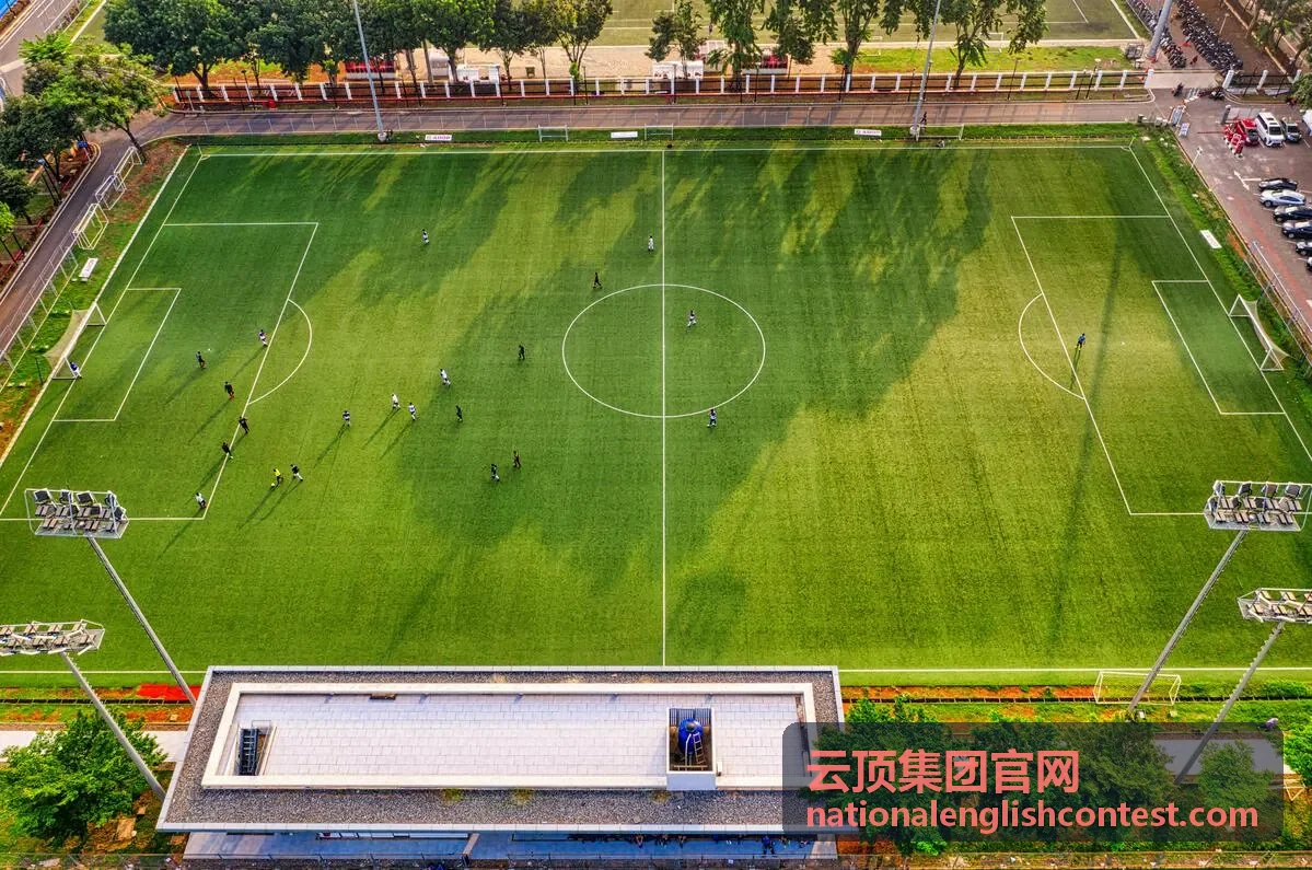 云顶集团战略咨询